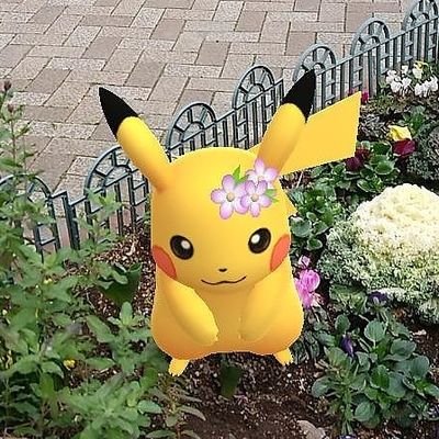 スポーツ大好き❤️食、鉄道、飛行機も好き❤️水瓶座