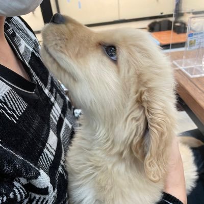 ジェイド🐶🐾さんのプロフィール画像