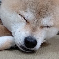 5さんのプロフィール画像
