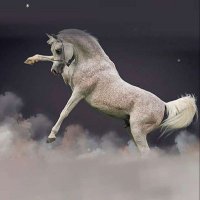 سعود برق (@saud_barq) 's Twitter Profile Photo سعود برق (@saud_barq) 's Twitter Profile Photo