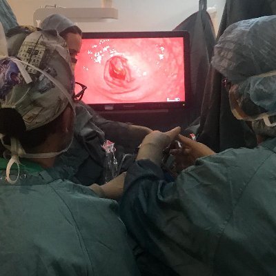 Unitat de Coloproctologia de l'Hospital Universitari MútuaTerrassa