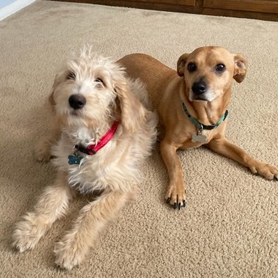 MaryG1866801's profile picture. 