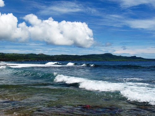 Deja_vu_Steven's profile picture. 