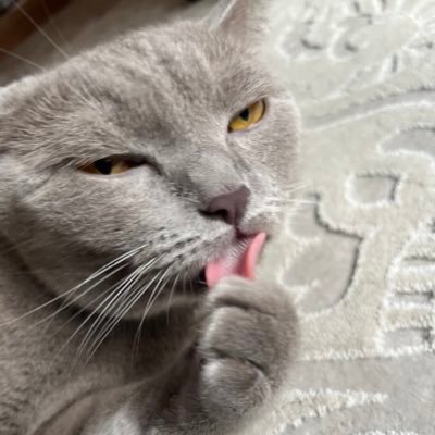 TheBetterJet's profile picture. 