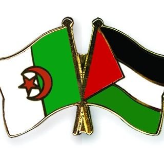 Tehia 🇩🇿❤️wa 🇵🇸❤️.
Hala Madrid 🐐😁
le Real Madrid le plus grand club de football de l’histoire, avec 15 titres Ligue des champions🐐😁.
