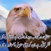 GhazniGhazni (@ghaznighazni20) Twitter profile photo GhazniGhazni (@ghaznighazni20) Twitter profile photo