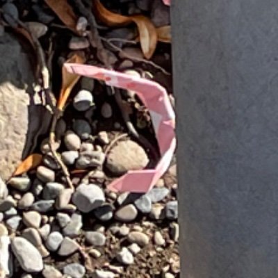 eniguma4712's profile picture. 何とは言わないが最近歪みまくってる