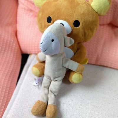 KojimaYoshikazu's profile picture. 経歴や研究については以下のサイトをご覧ください。