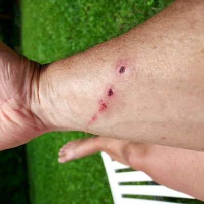 Sams_ass_slave's profile picture. I love a kissable behind.