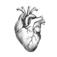 ياسر . (@yrs79) Twitter profile photo