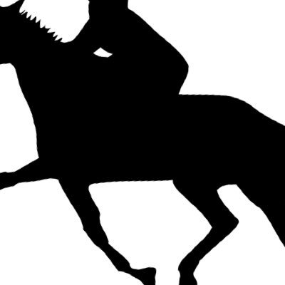 raceonthebridle Profile Picture