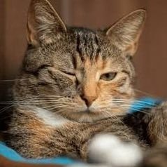 hi_itsgrasya's profile picture. Disappointed but not surprised.