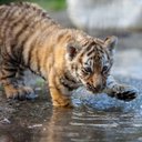 Sara Abdul Azeez - @SAzeez49041 - Twitter