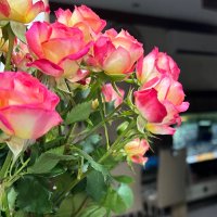 مشاعر | كود ايهرب czw4385 (@nafnf1) Twitter profile photo