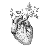Heart in Nature (@heartinnature_) 's Twitter Profile Photo Heart in Nature (@heartinnature_) 's Twitter Profile Photo