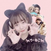 りーねこ(@nekono__ongaesi) 's Twitter Profile Photo