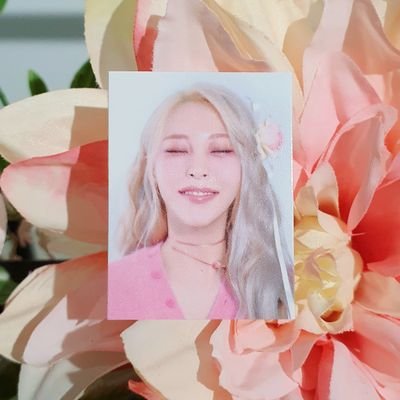 정말무さんのプロフィール画像