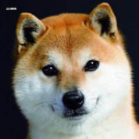 DRM_SSD🛸💜 (@drm_red) 's Twitter Profile Photo