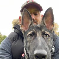 James Harman (@jamesha34849727) 's Twitter Profile Photo