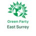 East Surrey Green Party (@EastSurreyGrns) Twitter profile photo