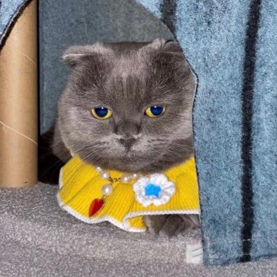GetUさんのプロフィール画像