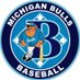 Michigan Bulls 17u - Hermelyn (@17umichbulls) Twitter profile photo Michigan Bulls 17u - Hermelyn (@17umichbulls) Twitter profile photo