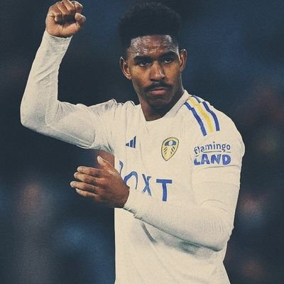 LUFC_Stan_1919's profile picture. South Stand ST Holder 🎟 |
Junior Firpo Enthusiast🏆|
Daniel Farkes Barmy Army |
Marcelo Bielsa Appreciator 🤍💛💙 #MOT