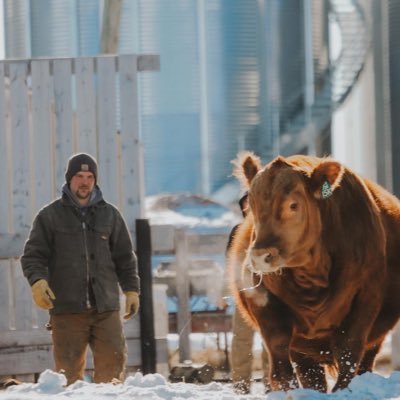 Jared Allison farmer and owner of Allison Ag LTd. Partners with @allisonredangus @allisonfarms