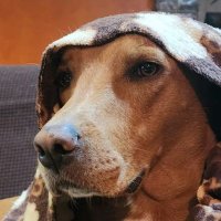 marucachavez3 (@marucachavez31) 's Twitter Profile