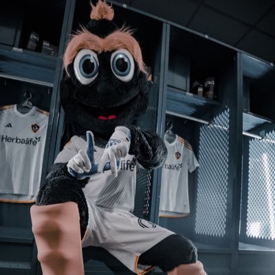 Mascot of the 5x MLS Cup Champion LA Galaxy & MLS/ NEXT #LosDos. Wrestling enthusiast. Lover of #tacos and #fun. It’s called soccer.