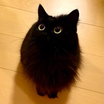 Ino_shakousei's profile picture. 仕事帰りに吸い込まれるようにパチ屋に入ってしまいます。助けてください🥺💦2025はパチ卒業へ向けて頑張りますっ！！･･･もしかしたら卒業出来ないかもしれません！！