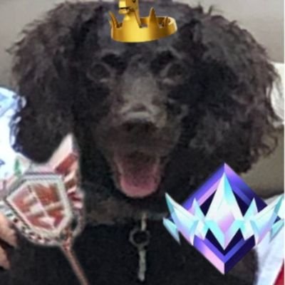 WxlfyFn's profile picture. Professional Fortnite Player and Content Creator. F/A