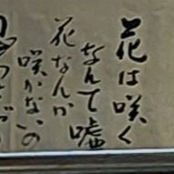 初めまして。
反原発　反基地　反改憲
反自公　反維新　
福島原発事故は終わってない