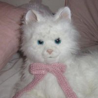mi (@93znit) 's Twitter Profile Photo