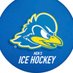 University of Delaware Ice Hockey (@udhockey) Twitter profile photo University of Delaware Ice Hockey (@udhockey) Twitter profile photo