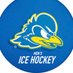 University of Delaware Ice Hockey (@UDHockey) Twitter profile photo