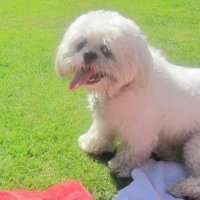 Sir Benji 🏴 (@mms63) 's Twitter Profile