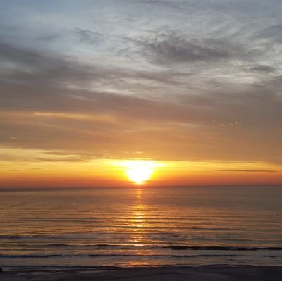 BoutiqueMystery's profile picture. moved my Boutique in the Blockchain world 🪨 read the descriptions 🧐 #nftcollector #nftseller 🚀