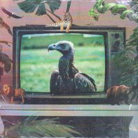 π§ππ§π π§π¦ππ₯π¦π£π (@vivivulture) 's Twitter Profile