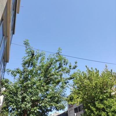 wlgu137961's profile picture. 