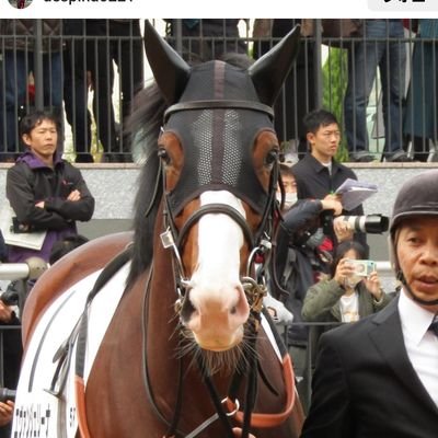 ショックすぎる出資馬の引退。まったく呟かない今日この頃思い出したのでポストする