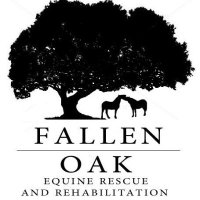 Fallen Oak Equine Rescue and Rehabilitation (@fallenoakrescue) 's Twitter Profile Photo Fallen Oak Equine Rescue and Rehabilitation (@fallenoakrescue) 's Twitter Profile Photo