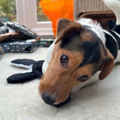 JuliaGroves23's profile picture. 