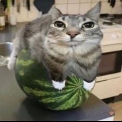 watermeloncat25 Profile Picture