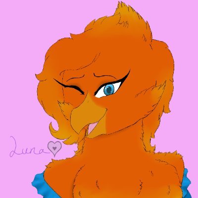 Solstice Profile