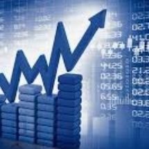 radhaa35's profile picture. Crypto native, Bitcoin maximalist, blockchain advocate