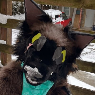 Fursuit account for a werewolf named Chicory! 🌸 main acct: @harborsorts 🌿
