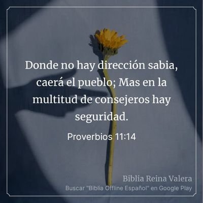 Mateo 6:33