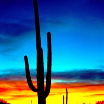 wabbit_crazy's profile picture. I am happily married . no DMs. Was not interested in politics until President Trump came along. Our founding fathers got it mostly right. No DMs.