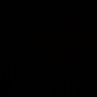 مبادل الخبر (@cax_llid) 's Twitter Profile